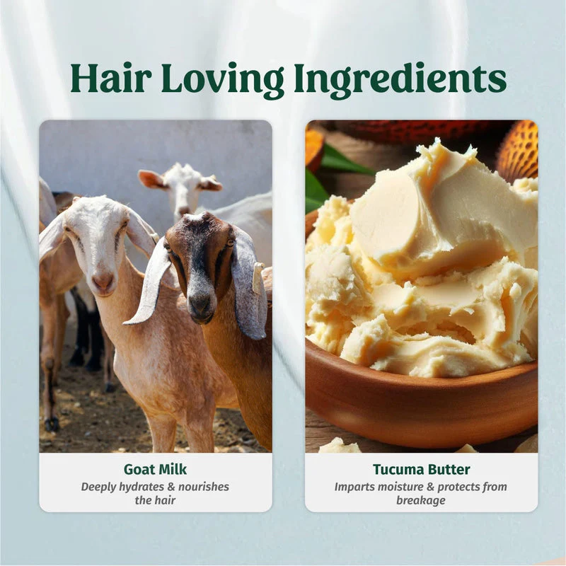 Bestseller Hair Kit - Image 6